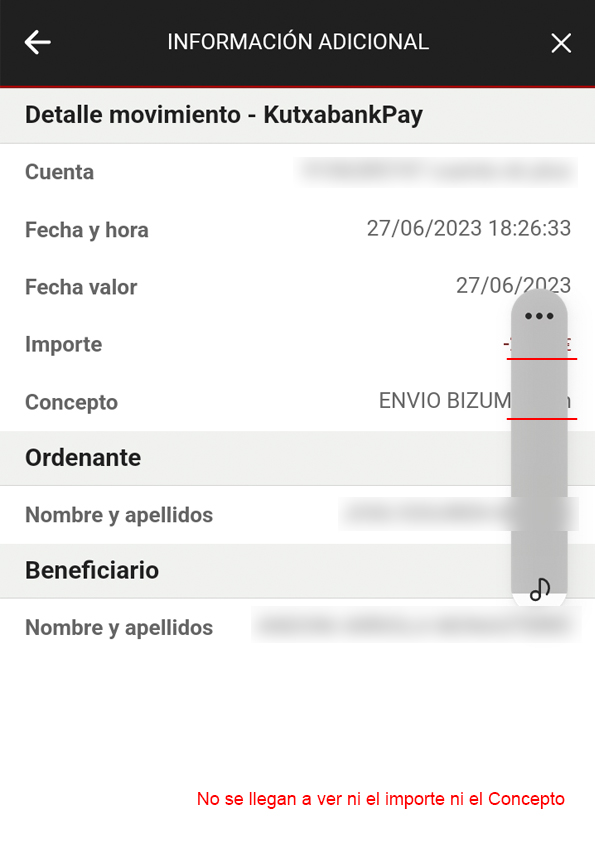 Captura de pantalla de Bizum no válida