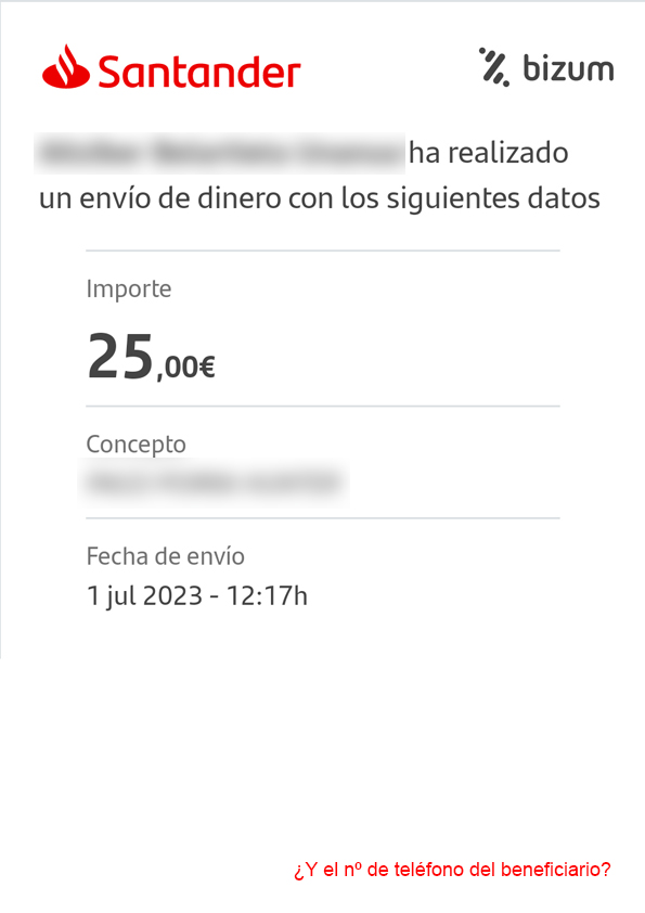 Captura de pantalla de Bizum no válida